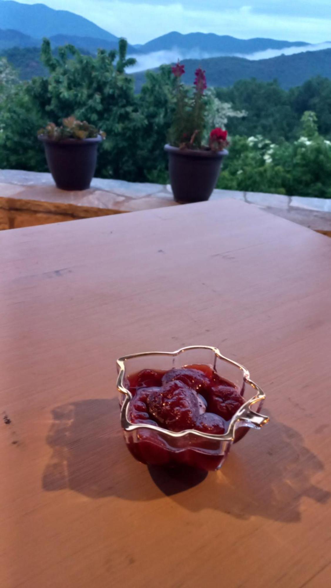 Ξενώνας Σελήνη Βίτσα Εξωτερικό φωτογραφία