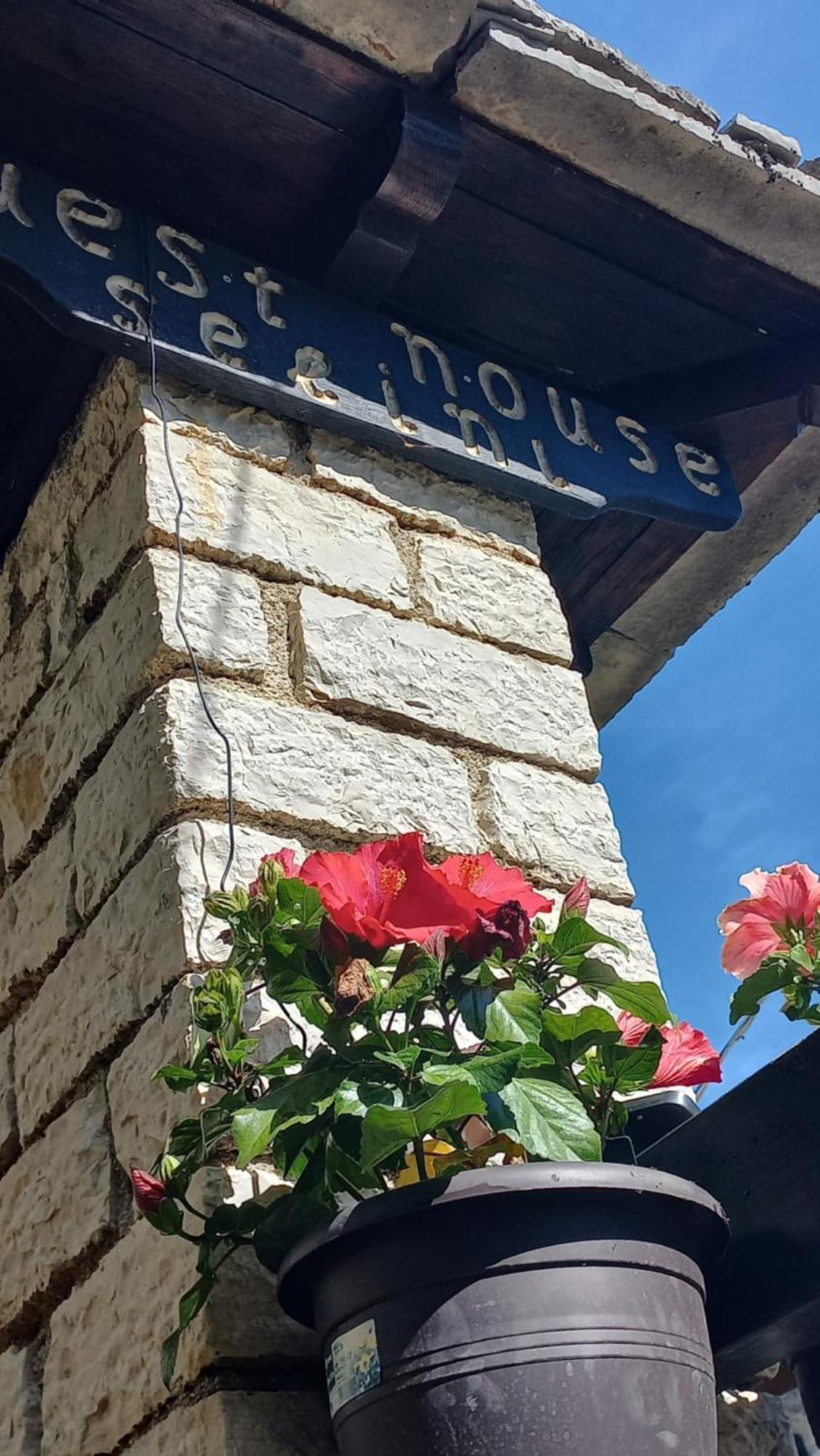 Ξενώνας Σελήνη Βίτσα Εξωτερικό φωτογραφία