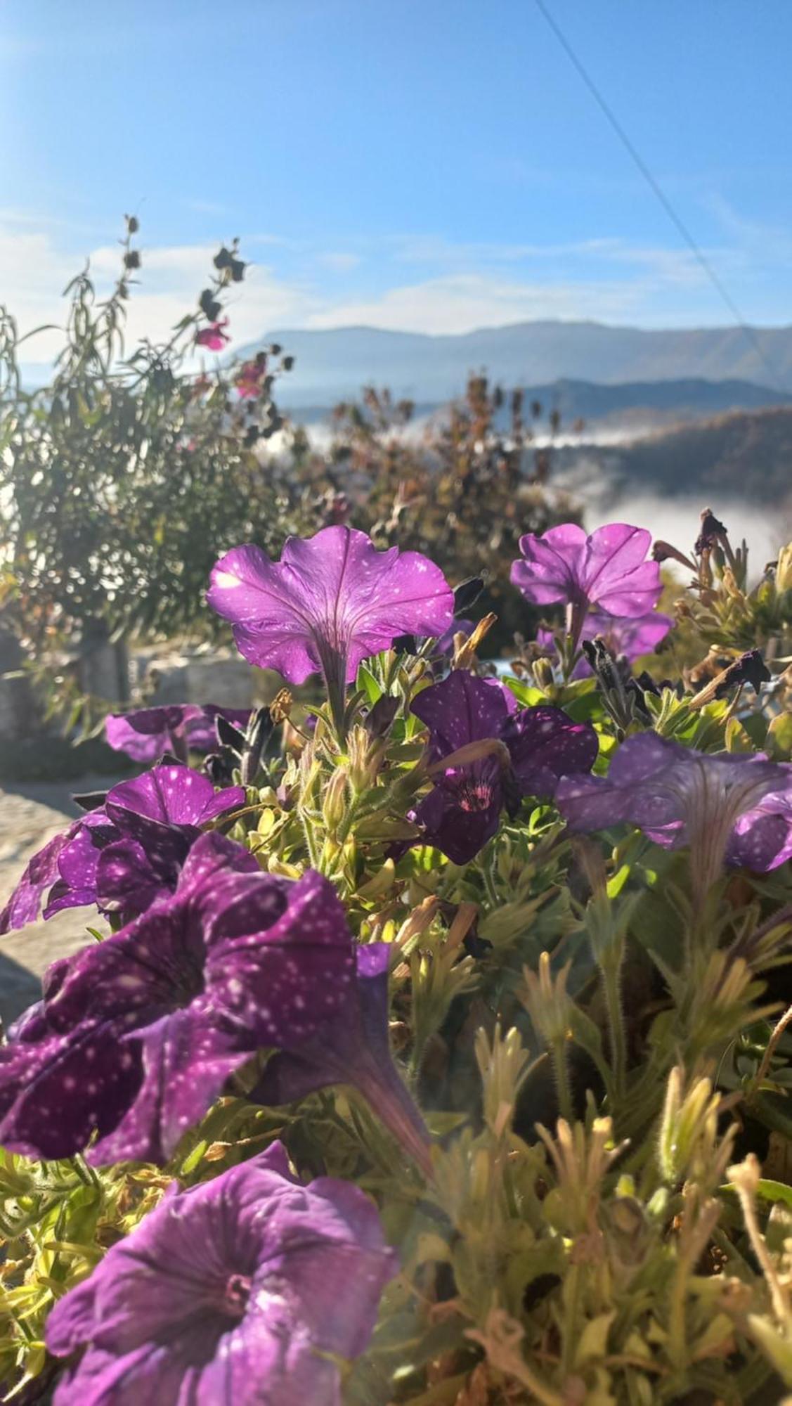 Ξενώνας Σελήνη Βίτσα Εξωτερικό φωτογραφία